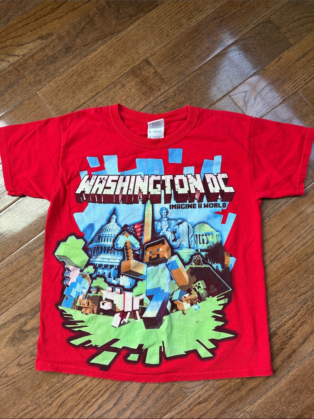 Minecraft Washington DC Imagine A World Kids T-Shirt